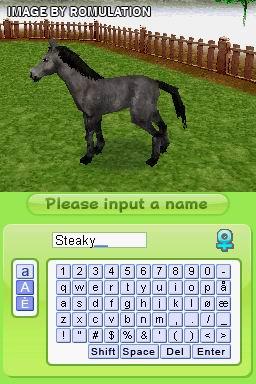Petz - My Horse Family for NDS screenshot