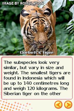 Animal World - Big Cats for NDS screenshot