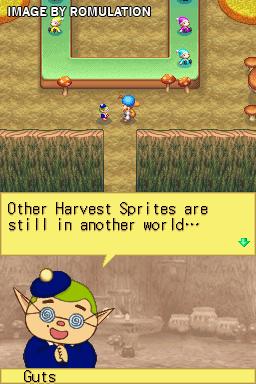 Harvest Moon DS for NDS screenshot