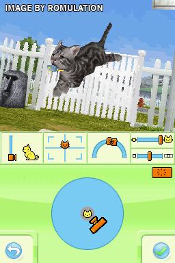Catz for NDS screenshot