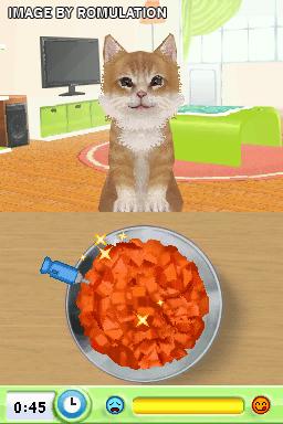 Catz for NDS screenshot